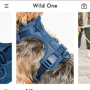 WILD ONE - M Harness - Navy - used once